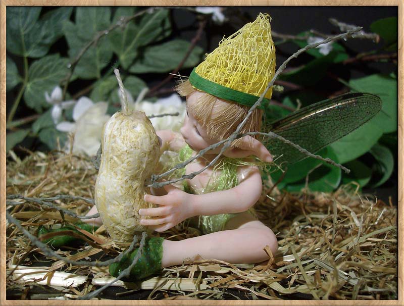 Baby Fairie Peo & Nut